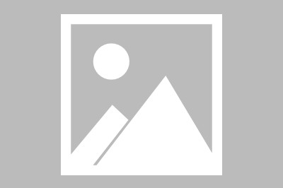 http://shenyang.quanwangkm.com/post/200.html|沈阳新闻中心