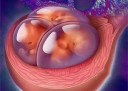 什么时候同房容易沈阳代怀孕